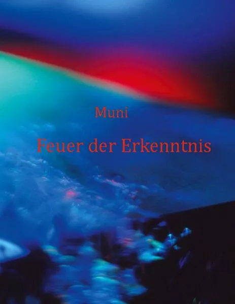 Cover: Feuer der Erkenntnis