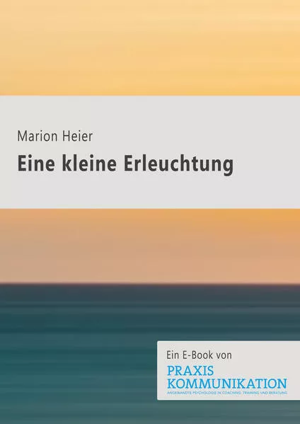 Cover: Eine kleine Erleuchtung