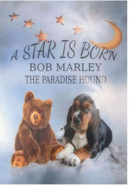 Cover: A Star is born - Bob Marley the Paradise Hound