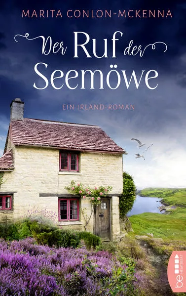 Cover: Der Ruf der Seemöwe
