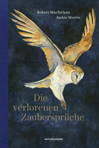 Cover: Die verlorenen Zaubersprüche