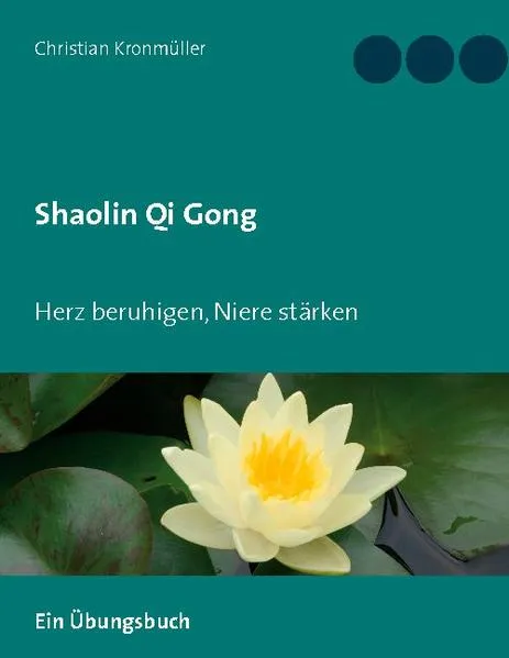 Cover: Shaolin Qi Gong