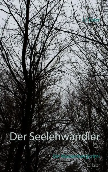 Cover: Der Seelenwandler