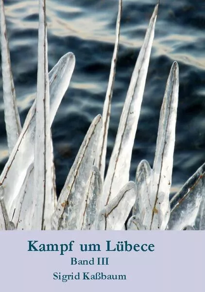 Cover: Kampf um Lübece Band 3