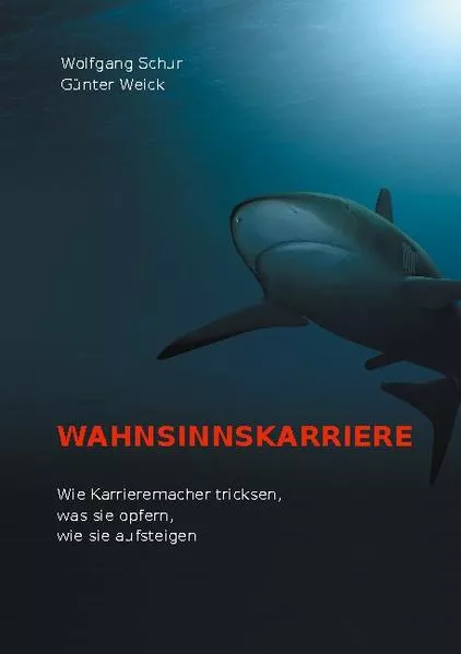 Cover: Wahnsinnskarriere