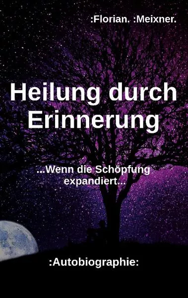 Cover: Heilung durch Erinnerung
