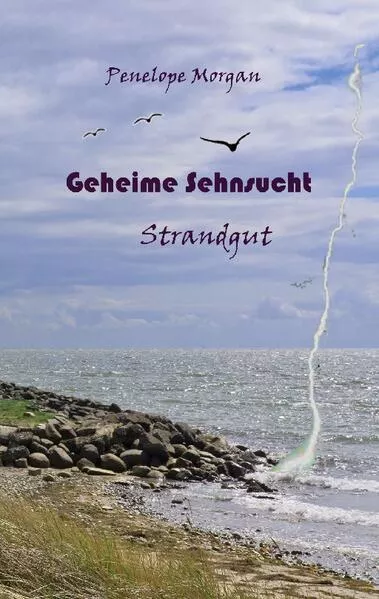 Cover: Geheime Sehnsucht - Strandgut