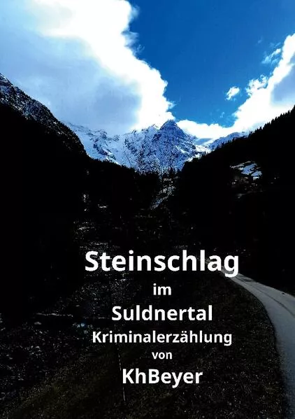 Cover: Steinschlag im Suldnertal