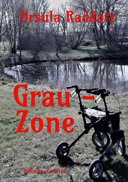 Cover: Grau-Zone