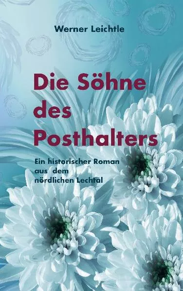 Cover: Die Söhne des Posthalters