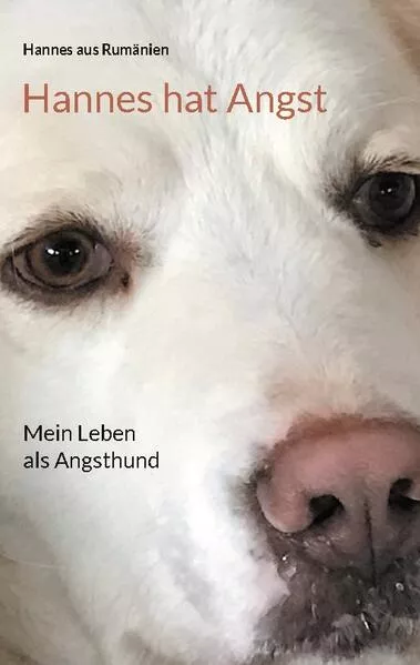 Cover: Hannes hat Angst