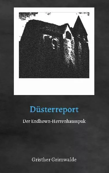 Cover: Düsterreport - Der Endhown-Herrenhausspuk