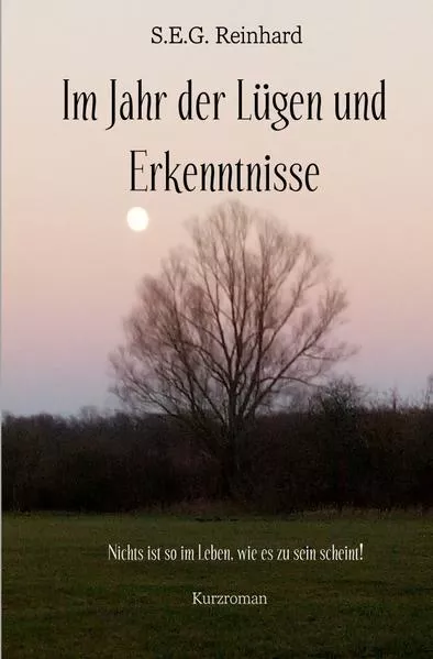 Cover: Im Jahr der Lügen und Erkenntnisse