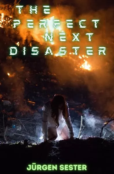 Cover: The perfect next Disaster