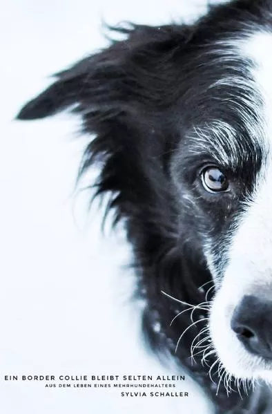 Cover: Ein Border Collie bleibt selten allein
