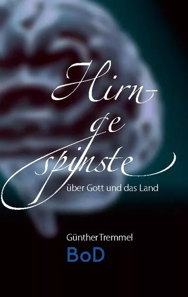 Cover: Hirngespinste