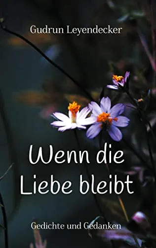 Cover: Wenn die Liebe bleibt