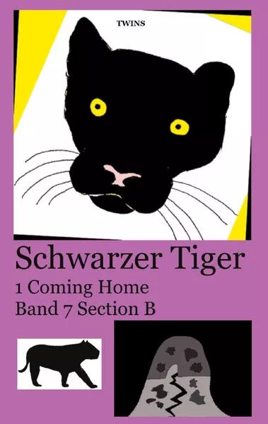 Cover: Schwarzer Tiger 1 Coming Home
