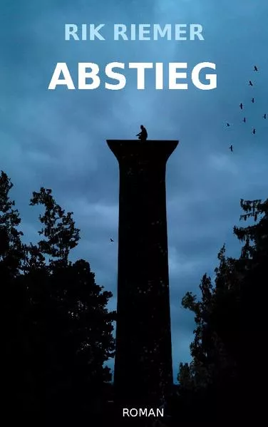 Cover: Abstieg