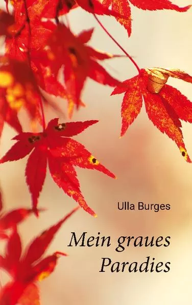 Cover: Mein graues Paradies