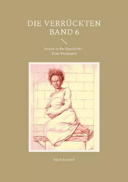 Cover: Die Verrückten Band 6