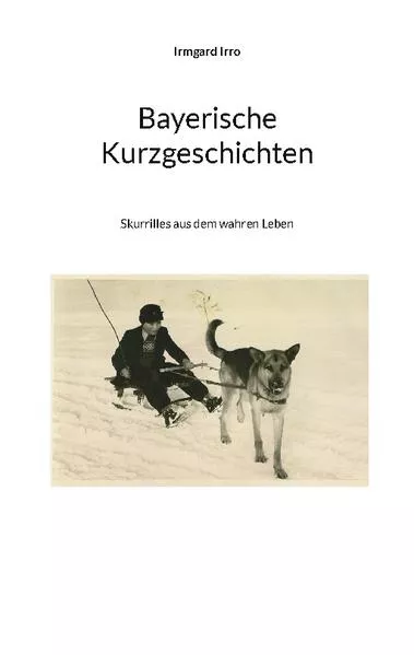 Cover: Bayerische Kurzgeschichten