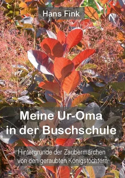 Cover: Meine Ur-Oma in der Buschschule