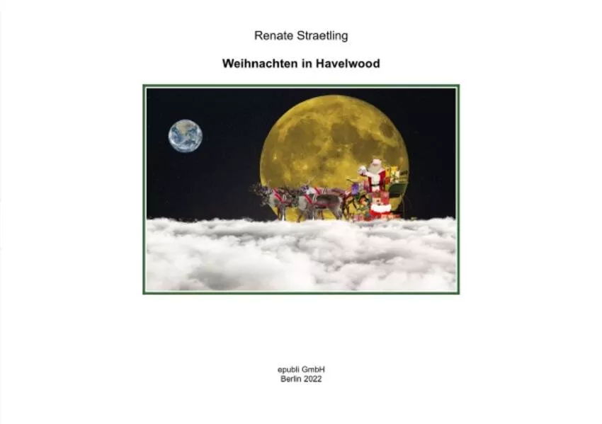 Cover: Eine Weihnachtsgeschichte aus Havelwood