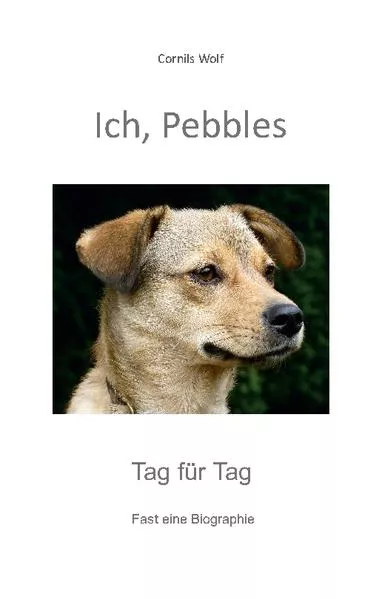 Cover: Ich, Pebbles