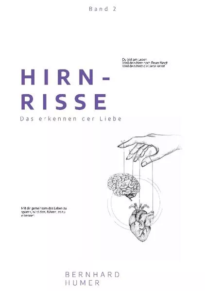 Cover: Hirnrisse
