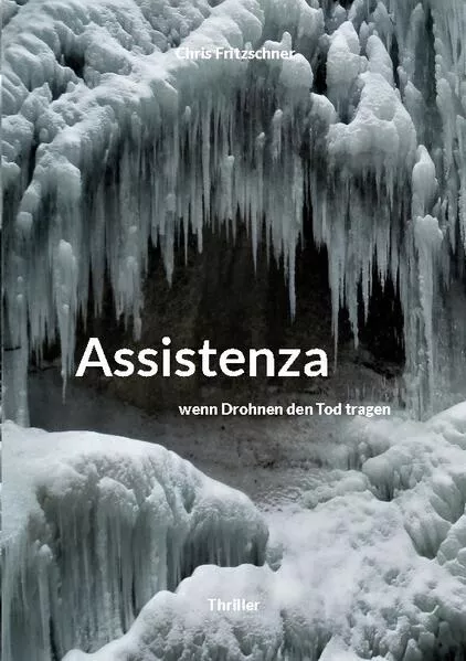 Cover: Assistenza