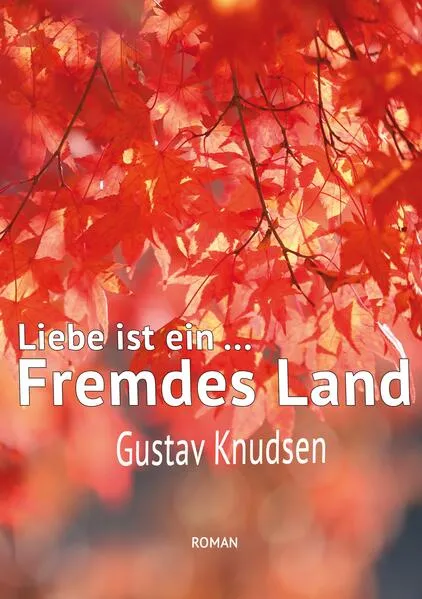Cover: Liebe ist ein fremdes Land