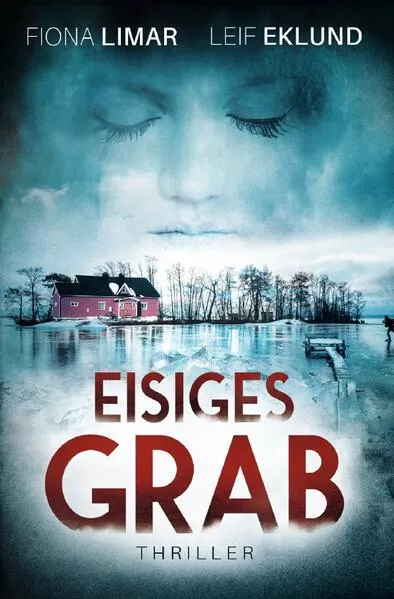 Cover: Schwedenthriller / Eisiges Grab