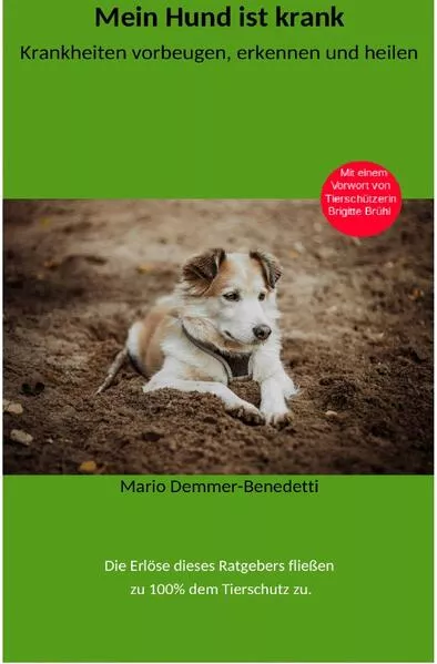 Cover: Mein Hund ist krank