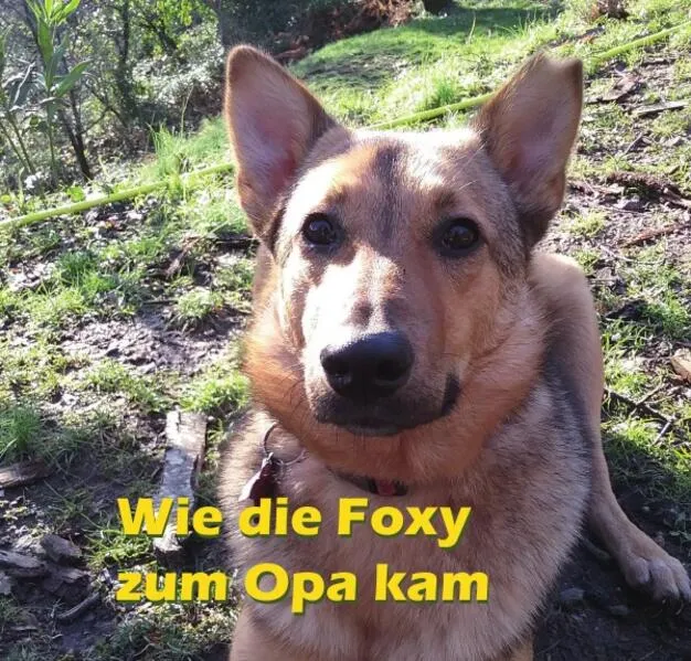 Wie die Foxy zum Opa kam