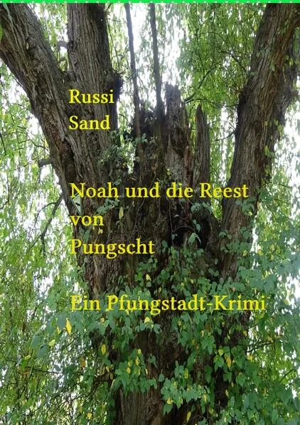 Cover: Noah und die Reest von Pfungstadt