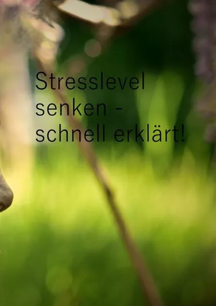 Stresslevel senken - schnell erklärt!