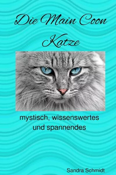 Cover: Eine Liebe für die Main Coon Katze: