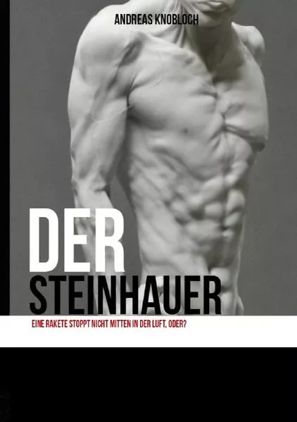 Cover: Der Steinhauer