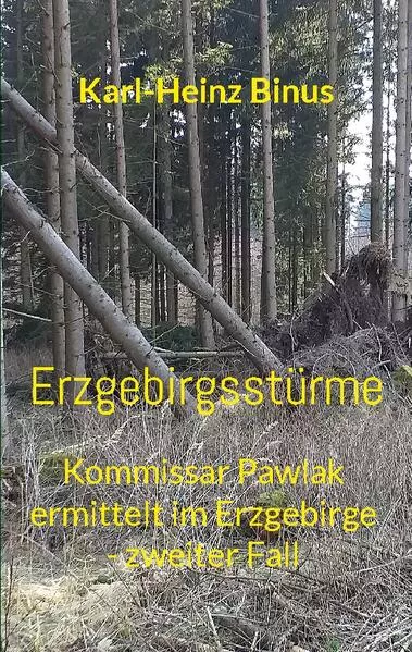 Cover: Erzgebirgsstürme