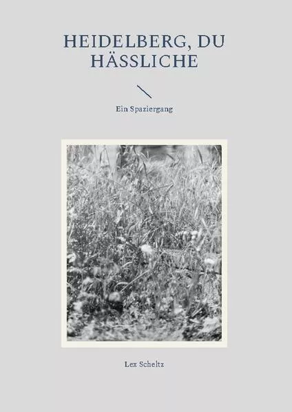 Cover: Heidelberg, Du Hässliche