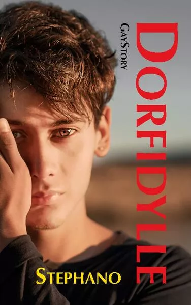 Cover: Dorfidylle