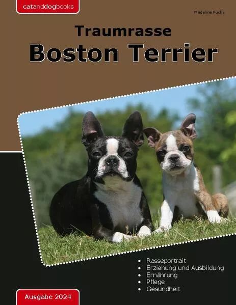 Cover: Traumrasse Boston Terrier