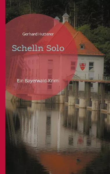 Cover: Schelln Solo