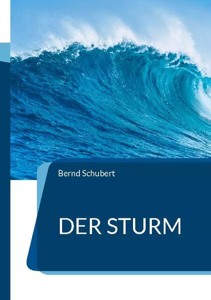 Cover: Der Sturm