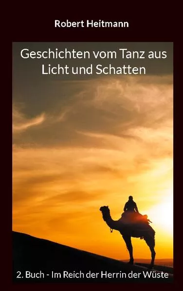 Cover: Geschichten vom Tanz aus Licht und Schatten