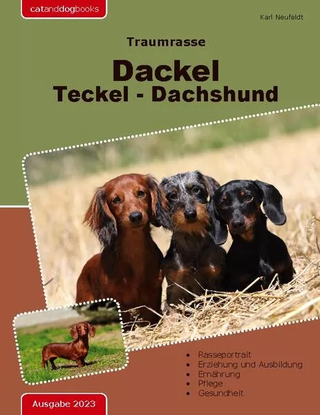 Cover: Traumrasse: Dackel Teckel Dachshund