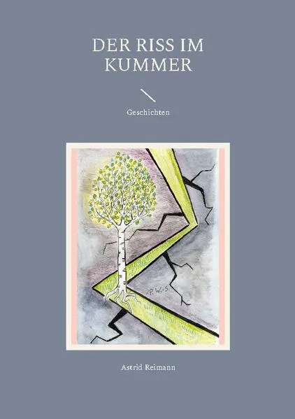 Cover: Der Riss im Kummer