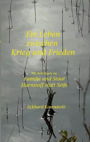 Cover: Ein Leben zwischen Krieg und Frieden