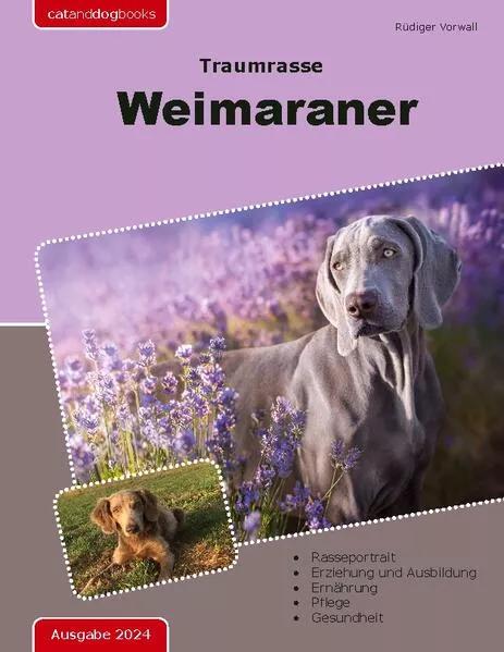 Cover: Traumrasse: Weimaraner